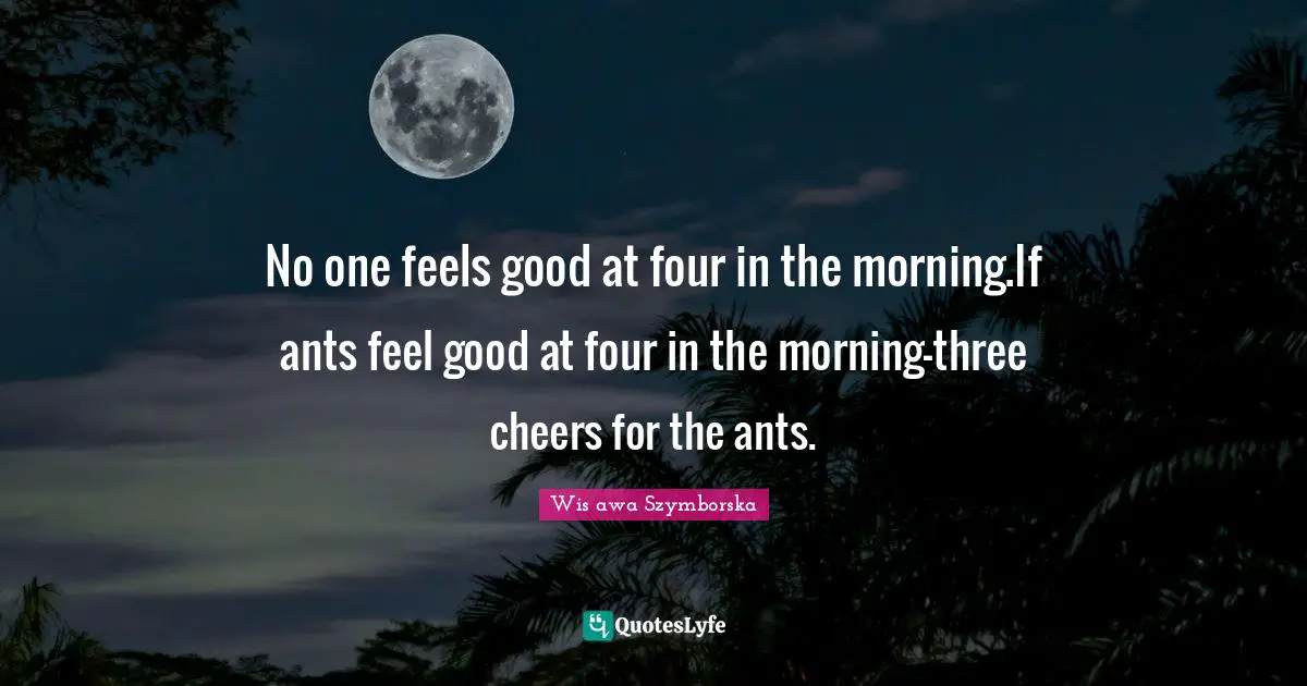 No one feels good at four in the morning.If ants feel good at four in the morning—three cheers for the ants.