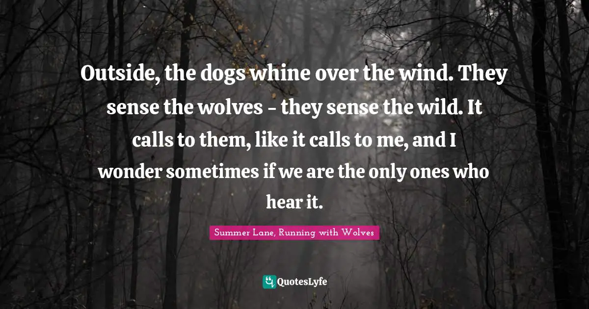 Outside, the dogs whine over the wind. They sense the wolves - they sense the wild. It calls to them, like it calls to me, and I wonder sometimes if we are the only ones who hear it.
