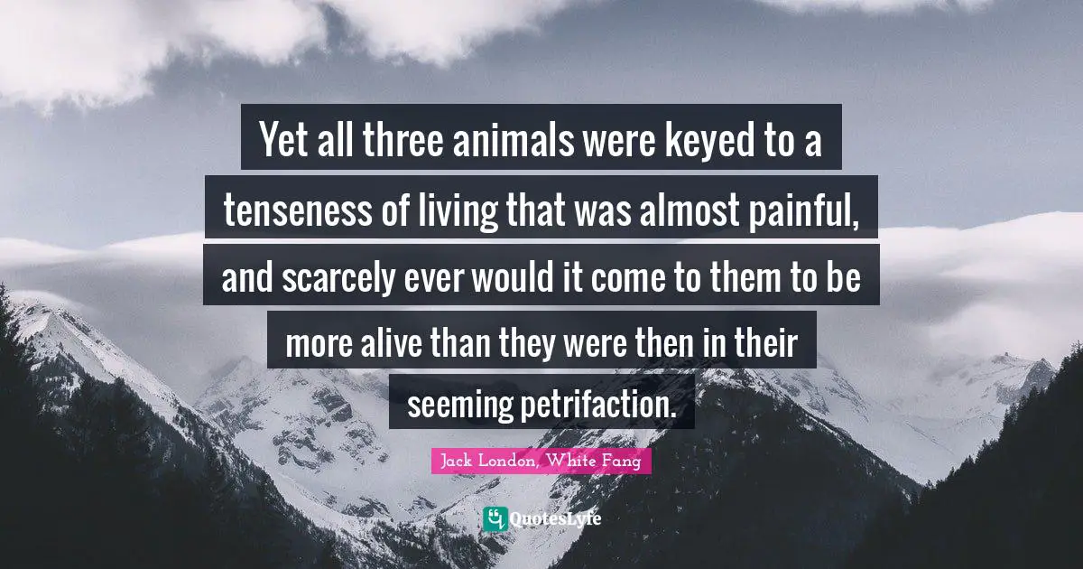 Yet all three animals were keyed to a tenseness of living that was almost painful, and scarcely ever would it come to them to be more alive than they were then in their seeming petrifaction.