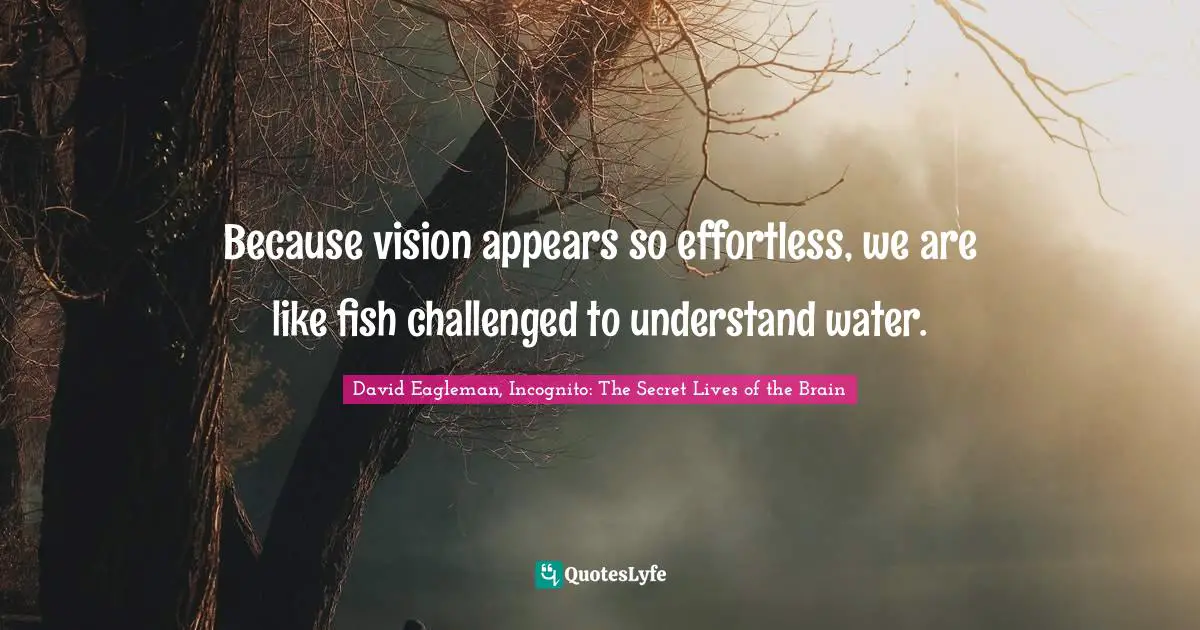 Because vision appears so effortless, we are like fish challenged to understand water.