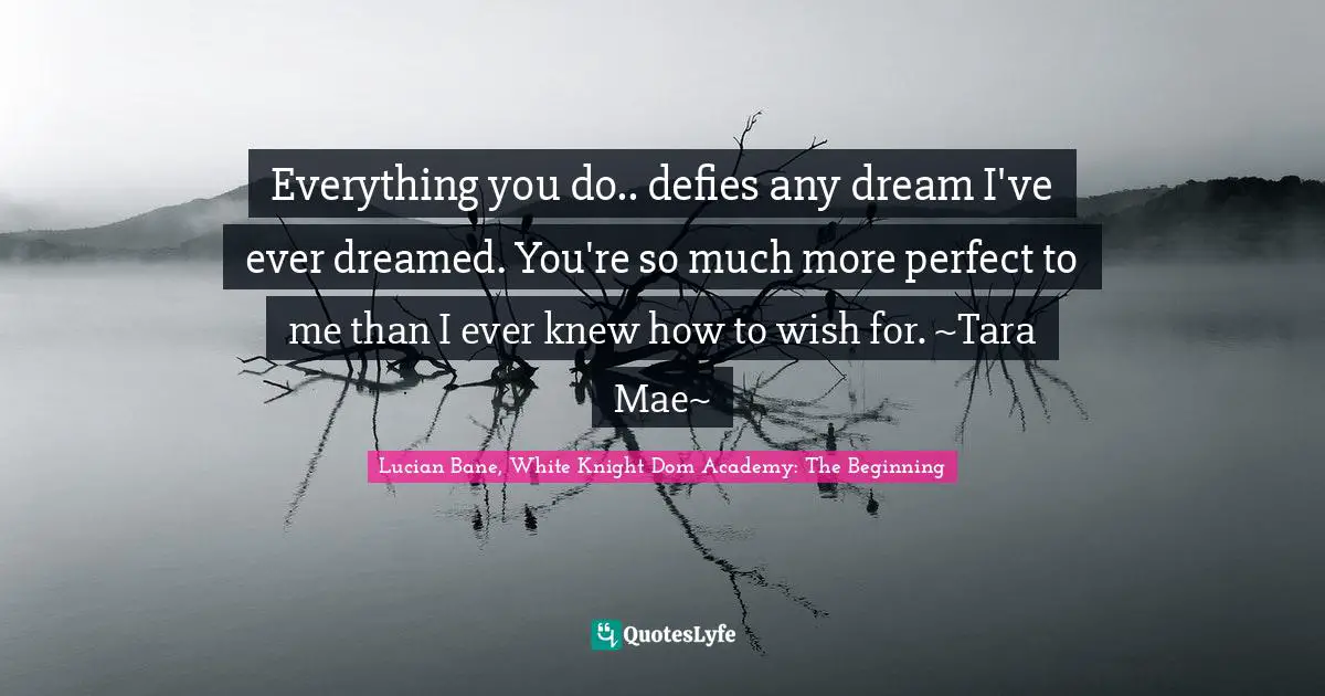 Everything you do.. defies any dream I've ever dreamed. You're so much more perfect to me than I ever knew how to wish for. ~Tara Mae~