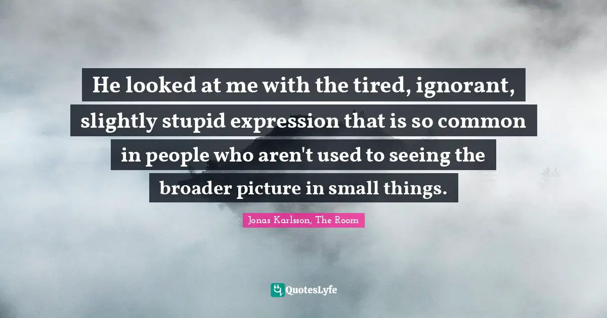 Lifes Quotes: "He looked at me with the tired, ignorant, slightly stupid expression that is so common in people who aren't used to seeing the broader picture in small things."