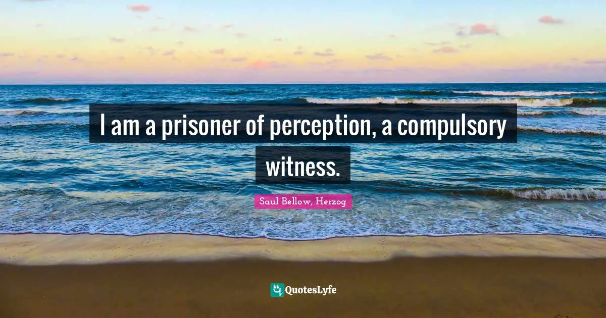 I am a prisoner of perception, a compulsory witness.