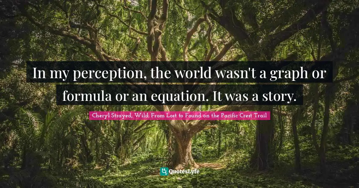 In my perception, the world wasn't a graph or formula or an equation. It was a story.
