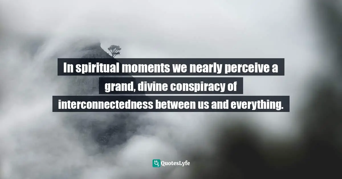 Bryant McGill, Simple Reminders: Inspiration For Living Your Best Life Quotes: "In spiritual moments we nearly perceive a grand, divine conspiracy of interconnectedness between us and everything."
