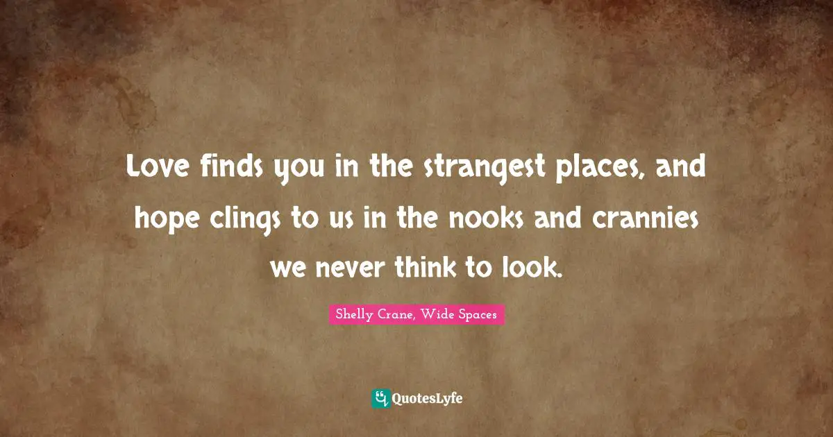 Amnesia Quotes: "Love finds you in the strangest places, and hope clings to us in the nooks and crannies we never think to look."