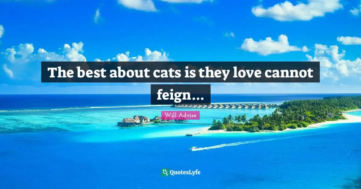 The best about cats is they love cannot feign...