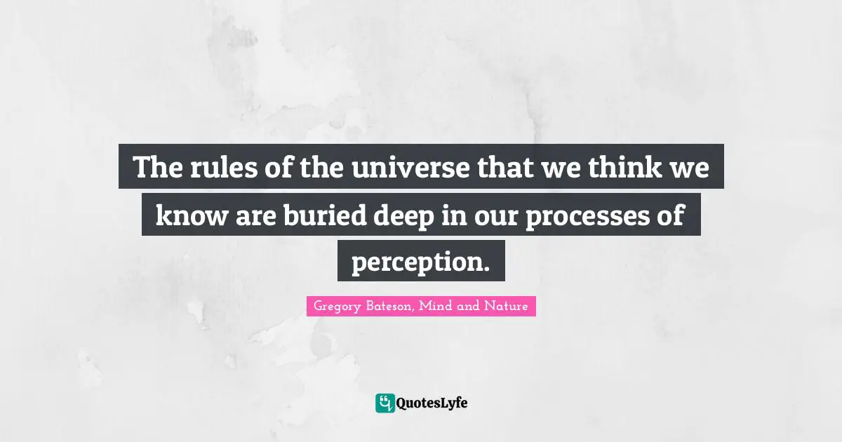 The rules of the universe that we think we know are buried deep in our processes of perception.