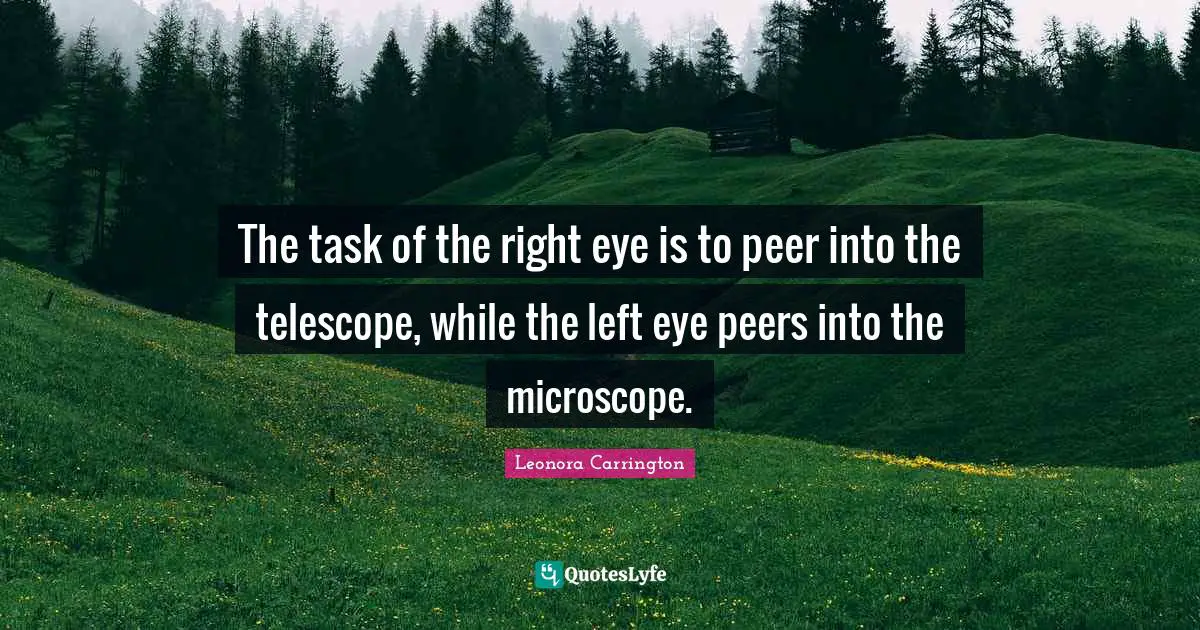 The task of the right eye is to peer into the telescope, while the left eye peers into the microscope.