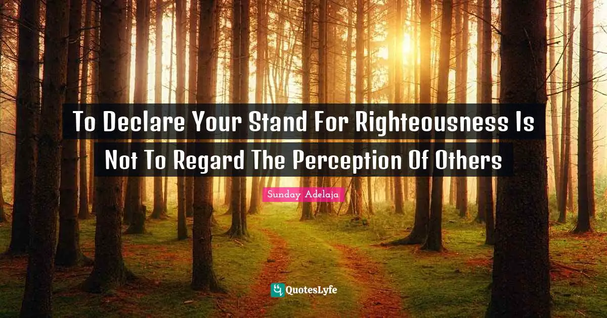 I Declare Quotes: "To Declare Your Stand For Righteousness Is Not To Regard The Perception Of Others"