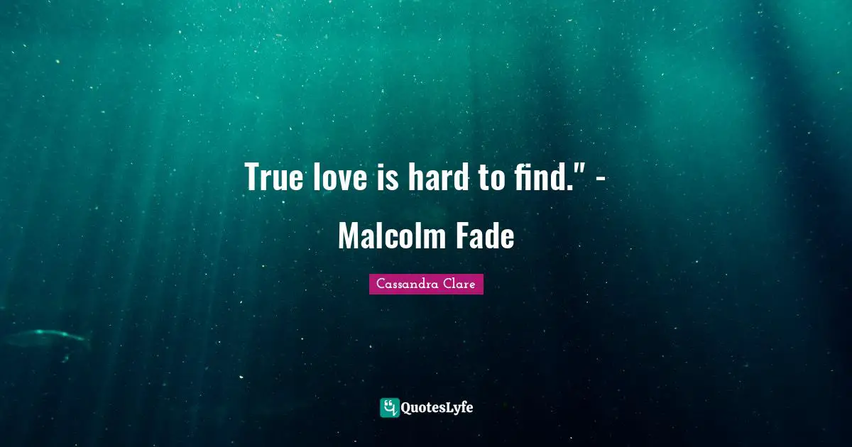 True love is hard to find." - Malcolm Fade