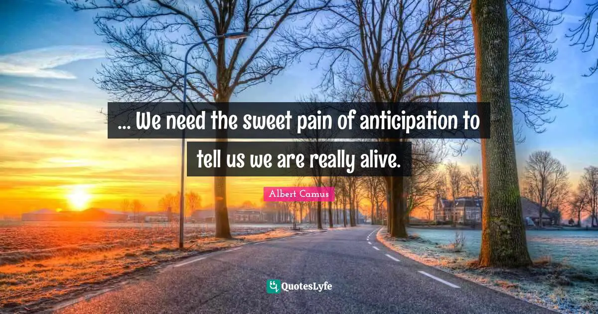 ... We need the sweet pain of anticipation to tell us we are really alive.