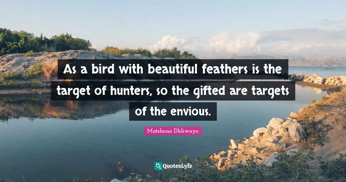 Matshona Dhliwayo Quotes: As a bird with beautiful feathers is the target of hunters, so the gifted are targets of the envious.