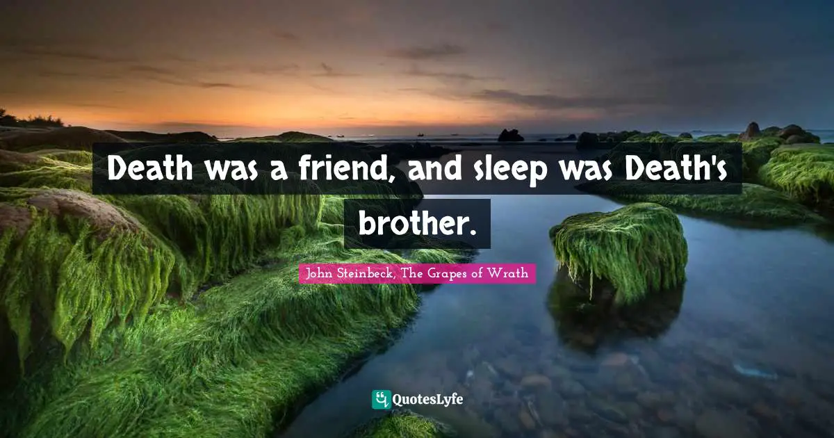 John Steinbeck, The Grapes of Wrath Quotes: Death was a friend, and sleep was Death's brother.