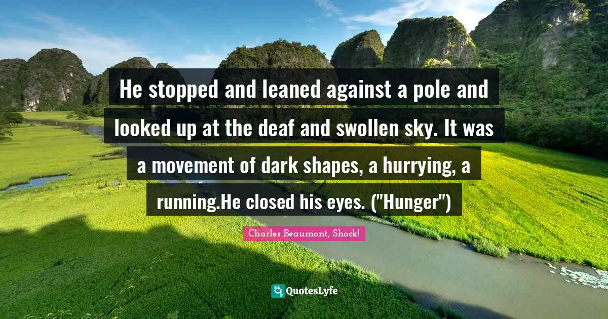 He stopped and leaned against a pole and looked up at the deaf and swollen sky. It was a movement of dark shapes, a hurrying, a running.He closed his eyes. ("Hunger")