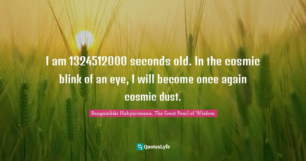 I am 1324512000 seconds old. In the cosmic blink of an eye, I will become once again cosmic dust.