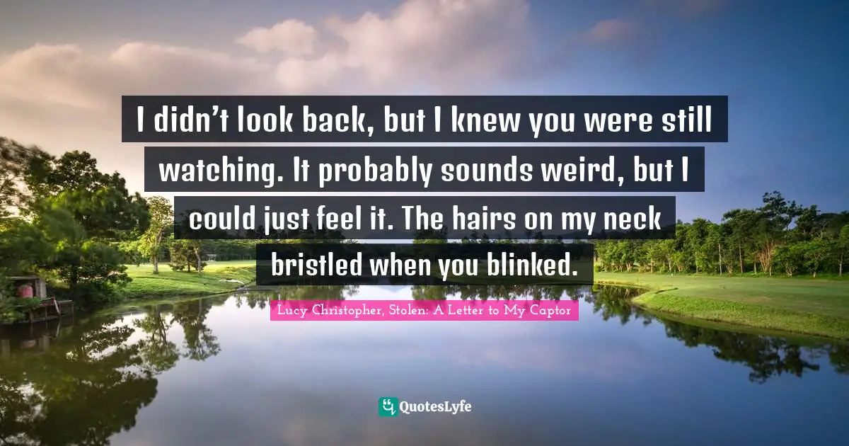 I didn’t look back, but I knew you were still watching. It probably sounds weird, but I could just feel it. The hairs on my neck bristled when you blinked.