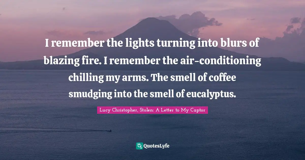 I remember the lights turning into blurs of blazing fire. I remember the air-conditioning chilling my arms. The smell of coffee smudging into the smell of eucalyptus.