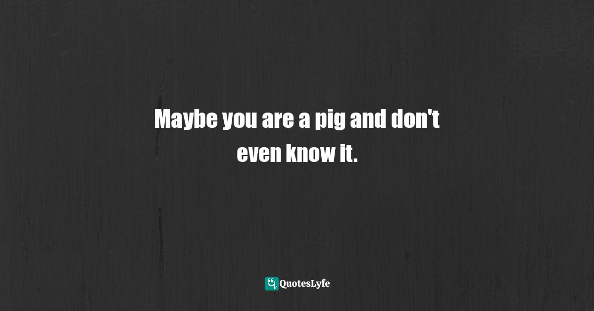 Maybe you are a pig and don't even know it.... Quote by Bryant McGill, Simple Reminders