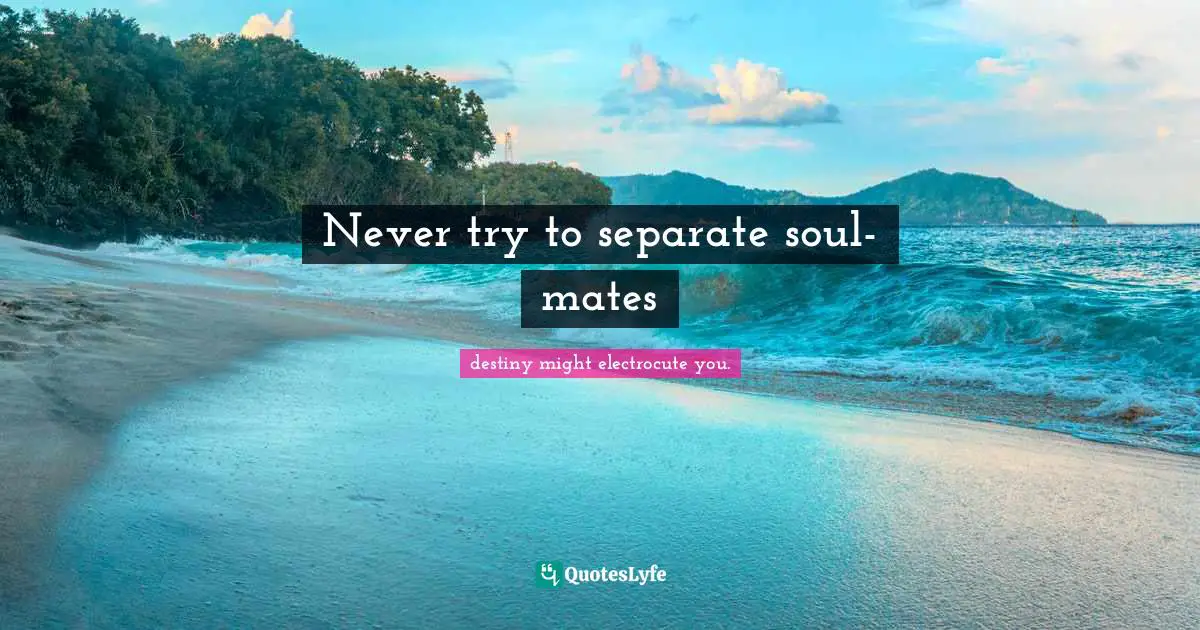 Never try to separate soul-mates