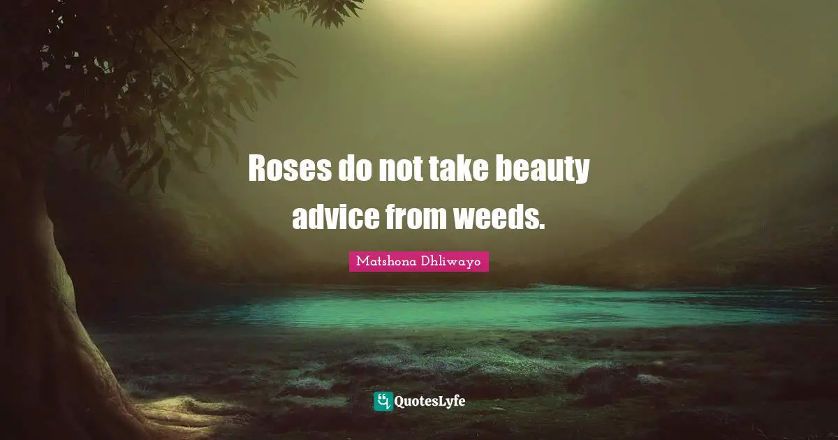 Roses do not take beauty advice from weeds.