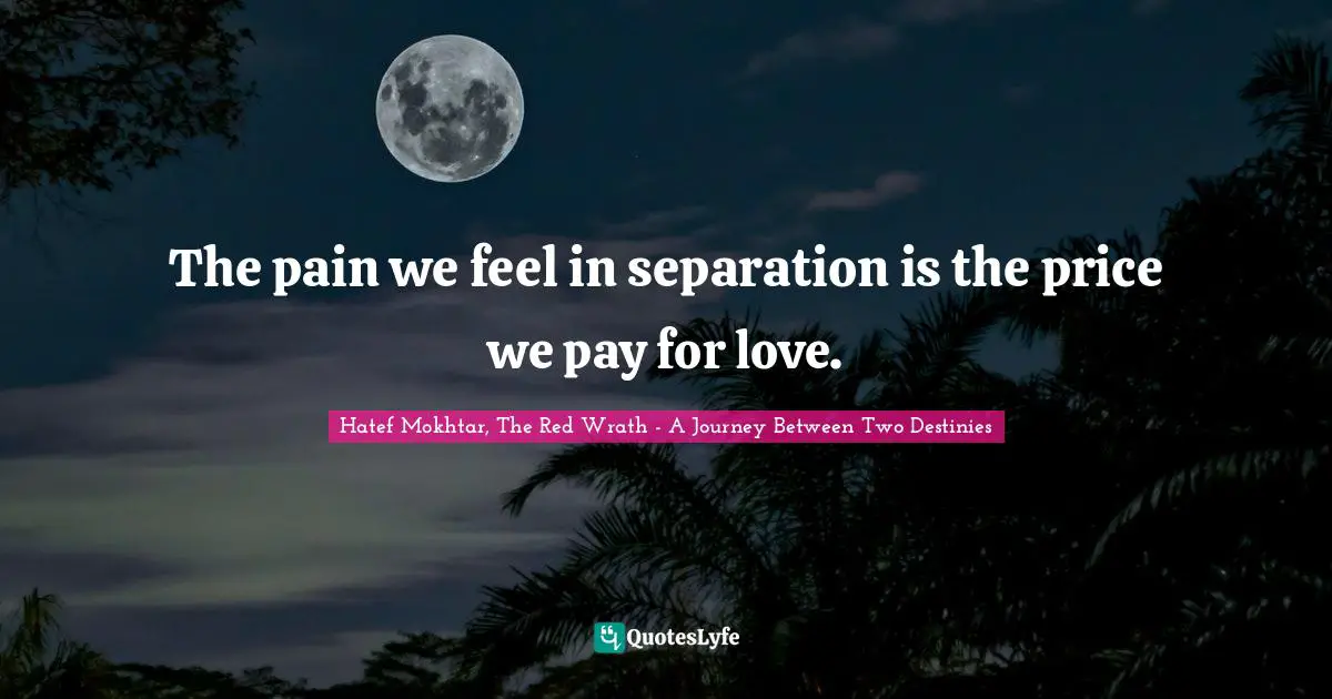 The pain we feel in separation is the price we pay for love.