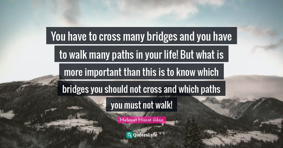 Bridge Quotes: "You have to cross many bridges and you have to walk many paths in your life! But what is more important than this is to know which bridges you should not cross and which paths you must not walk!"