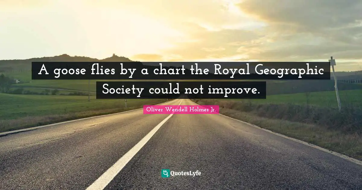 A goose flies by a chart the Royal Geographic Society could not improve.