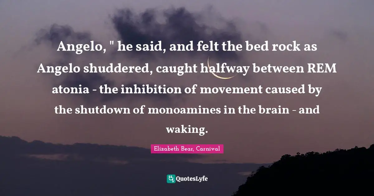 Angelo, " he said, and felt the bed rock as Angelo shuddered, caught halfway between REM atonia - the inhibition of movement caused by the shutdown of monoamines in the brain - and waking.
