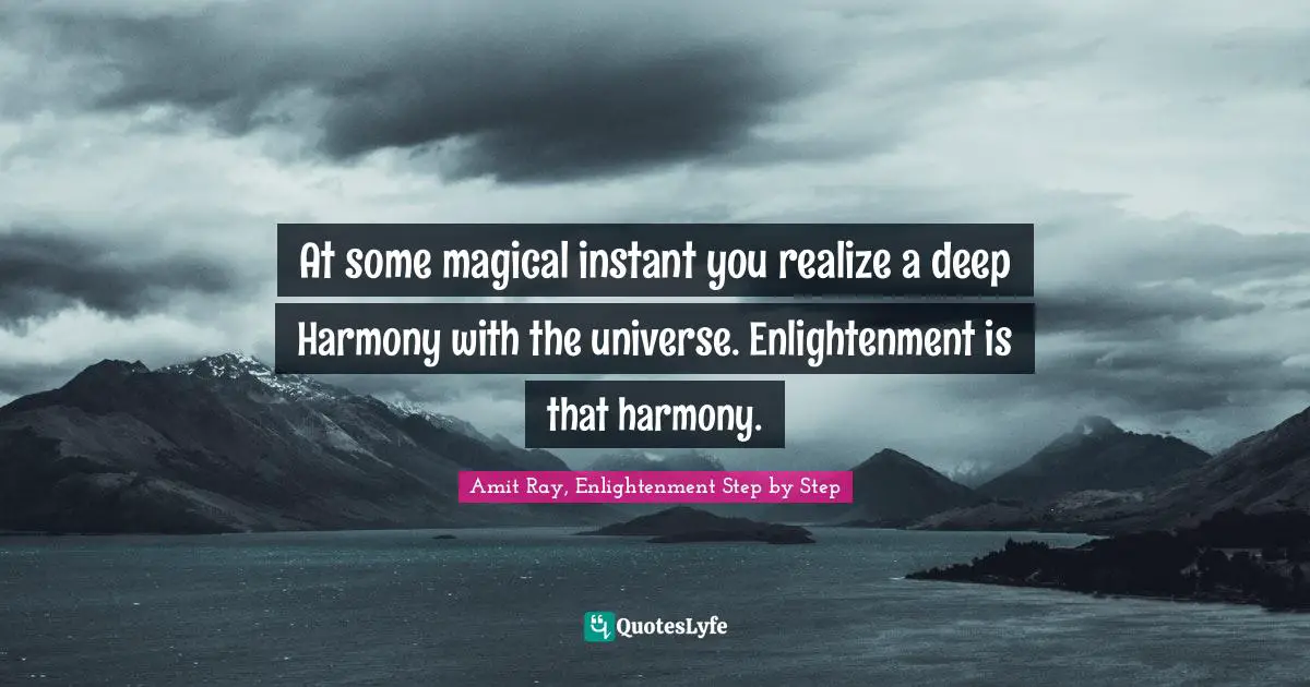 Harmony With Thoughts Quotes: "At some magical instant you realize a deep Harmony with the universe. Enlightenment is that harmony."