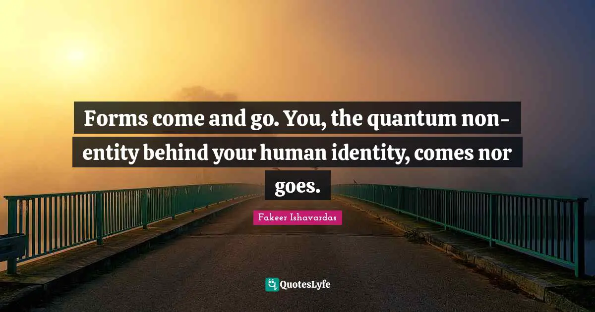 Metaphysical Truth Reality Quotes: "Forms come and go. You, the quantum non-entity behind your human identity, comes nor goes."