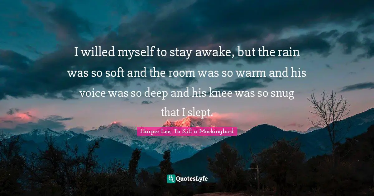 I willed myself to stay awake, but the rain was so soft and the room was so warm and his voice was so deep and his knee was so snug that I slept.