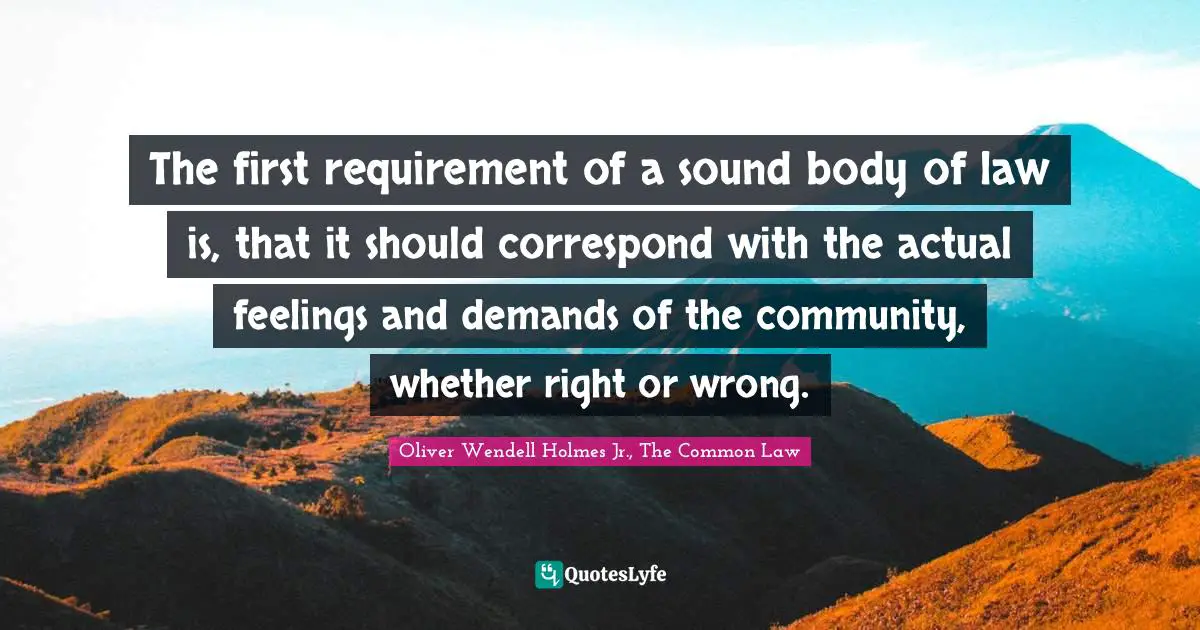 The first requirement of a sound body of law is, that it should correspond with the actual feelings and demands of the community, whether right or wrong.