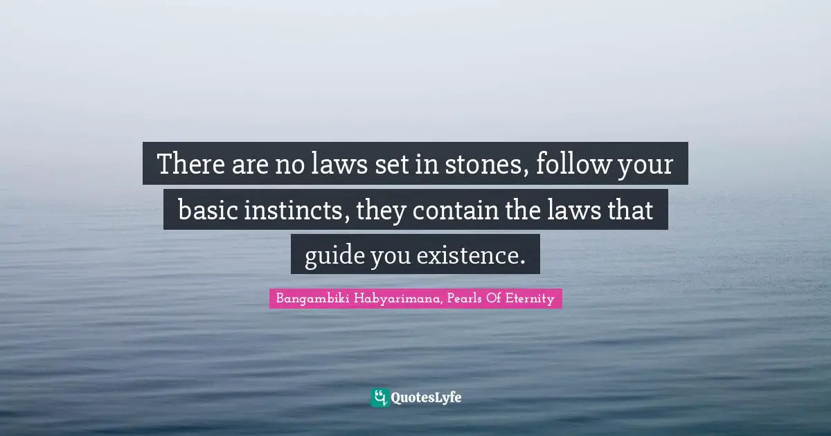 There are no laws set in stones, follow your basic instincts, they contain the laws that guide you existence.