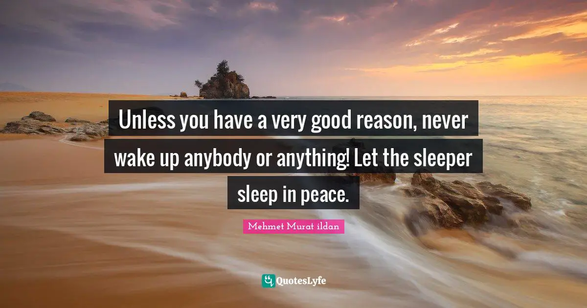 Unless you have a very good reason, never wake up anybody or anything! Let the sleeper sleep in peace.