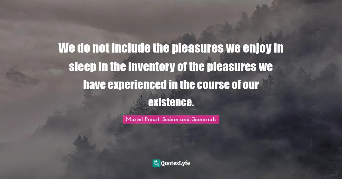 We do not include the pleasures we enjoy in sleep in the inventory of the pleasures we have experienced in the course of our existence.