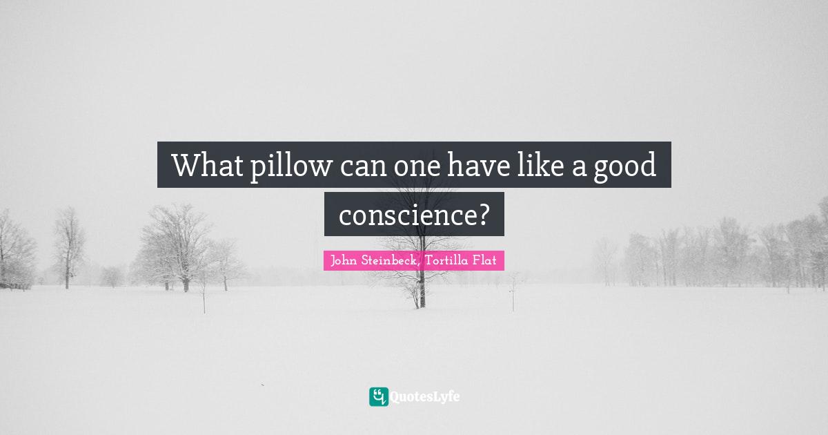 What pillow can one have like a good conscience?