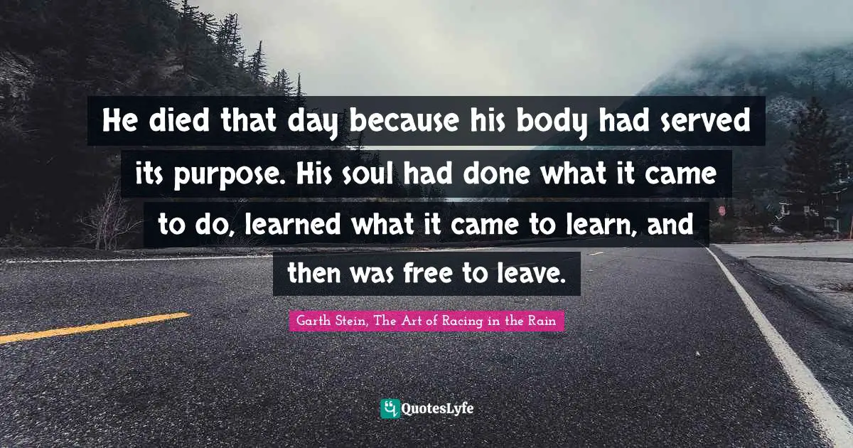 He died that day because his body had served its purpose. His soul had done what it came to do, learned what it came to learn, and then was free to leave.
