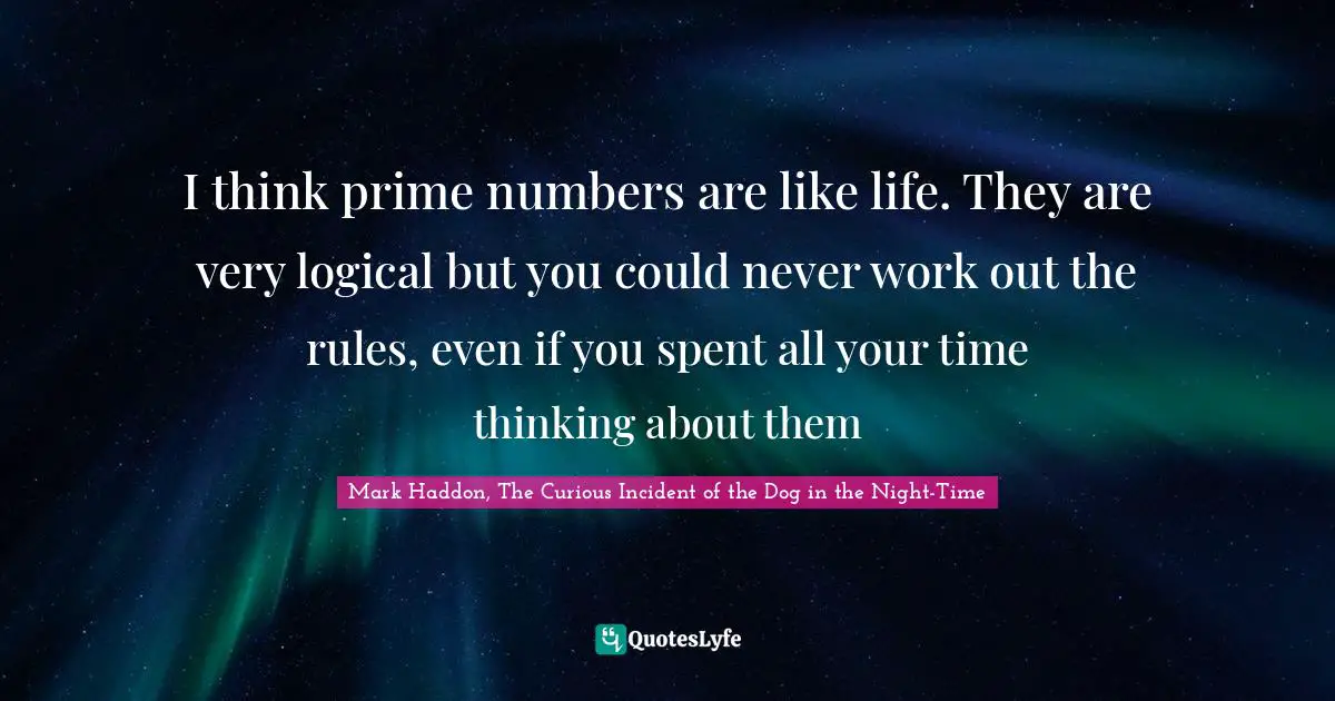 I think prime numbers are like life. They are very logical but you could never work out the rules, even if you spent all your time thinking about them