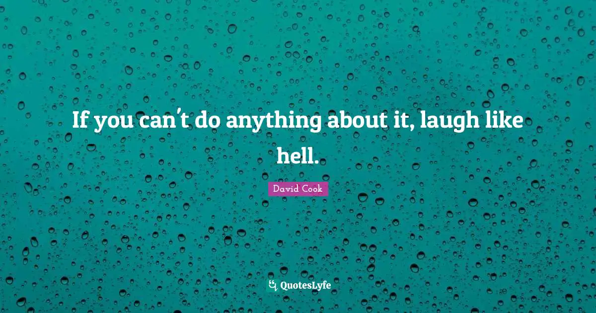 A. J. Cook Quotes: "If you can't do anything about it, laugh like hell."