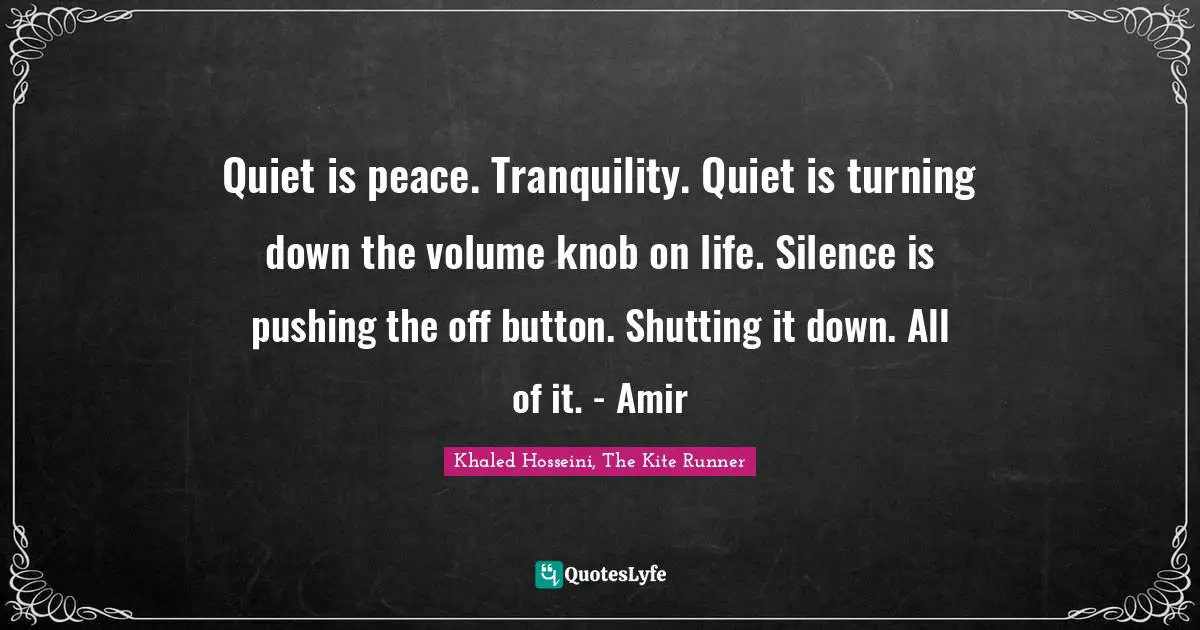 Quiet is peace. Tranquility. Quiet is turning down the volume knob on life. Silence is pushing the off button. Shutting it down. All of it. - Amir