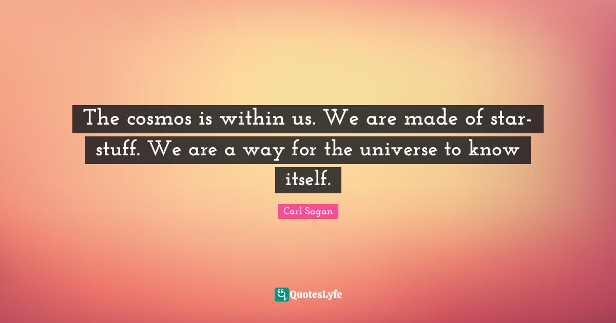 The cosmos is within us. We are made of star-stuff. We are a way for the universe to know itself.