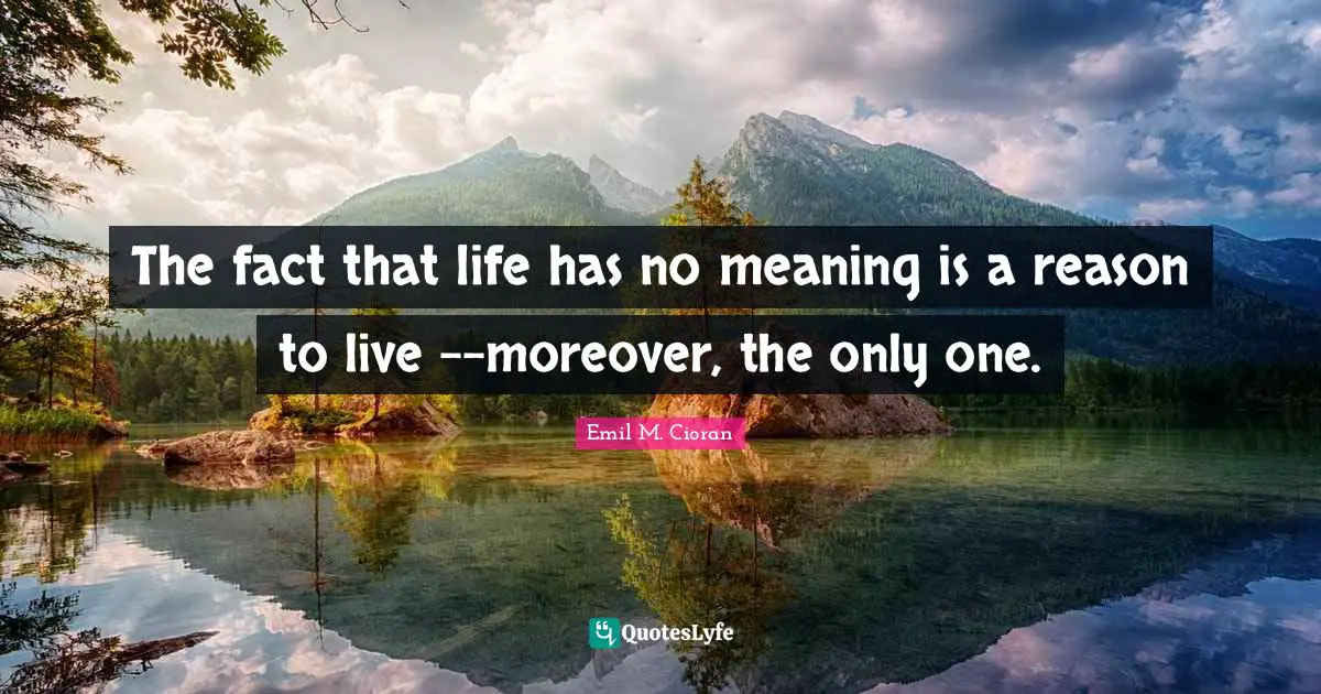 The fact that life has no meaning is a reason to live --moreover, the only one.