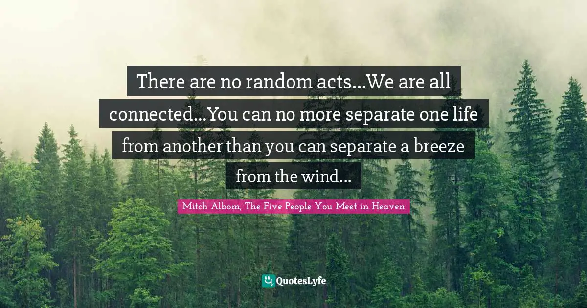 There are no random acts...We are all connected...You can no more separate one life from another than you can separate a breeze from the wind...