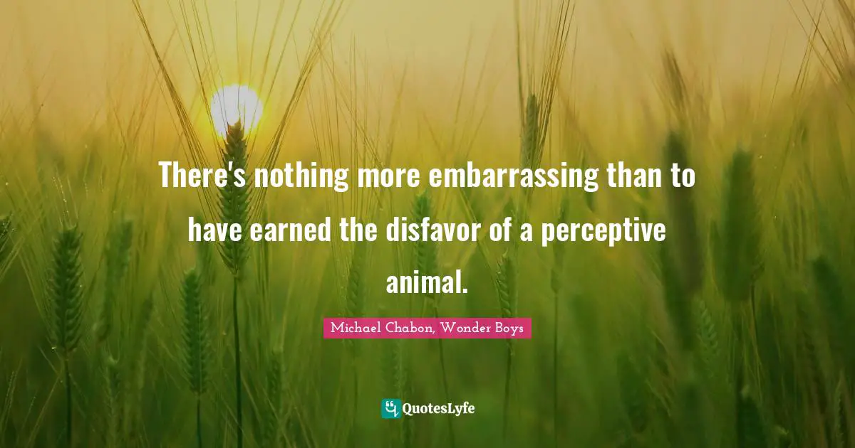 There's nothing more embarrassing than to have earned the disfavor of a perceptive animal.