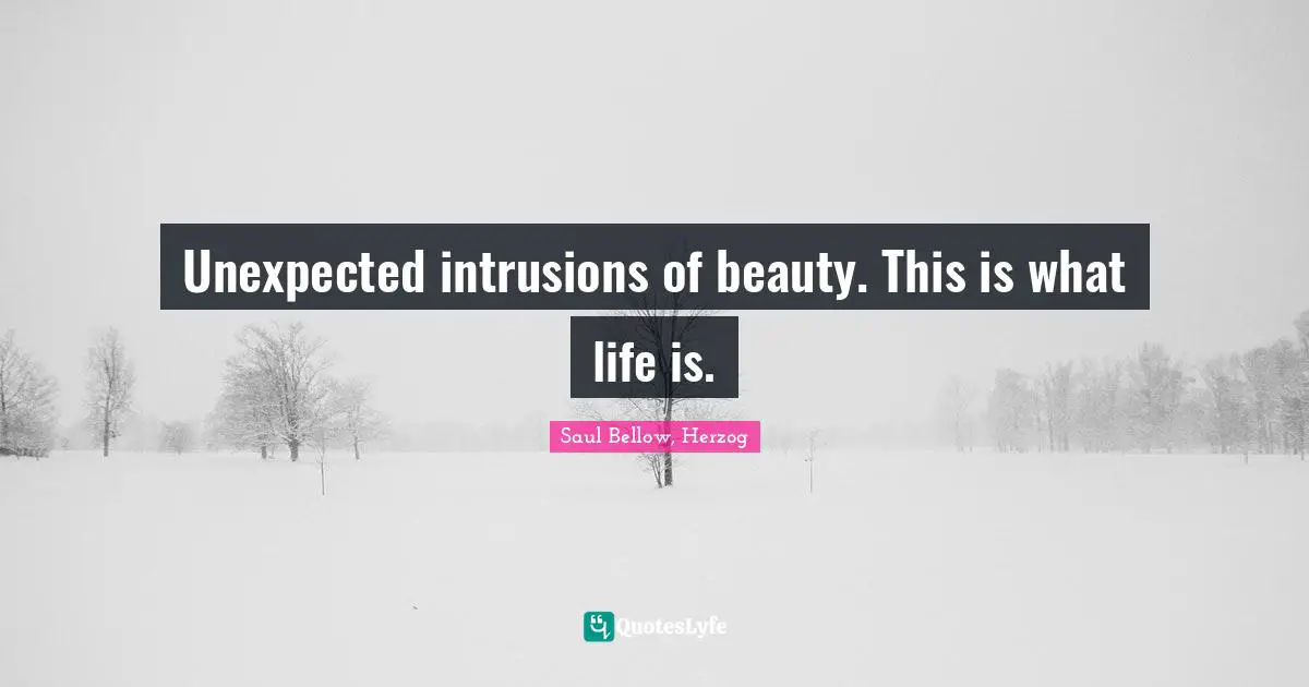 Unexpected intrusions of beauty. This is what life is.