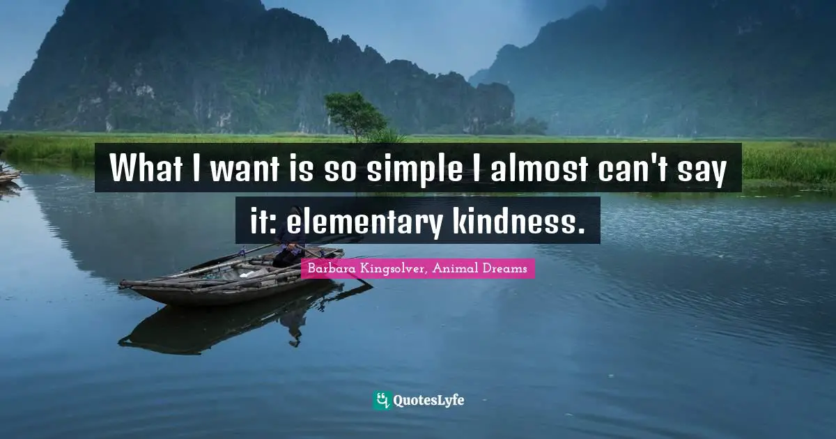 What I want is so simple I almost can't say it: elementary kindness.