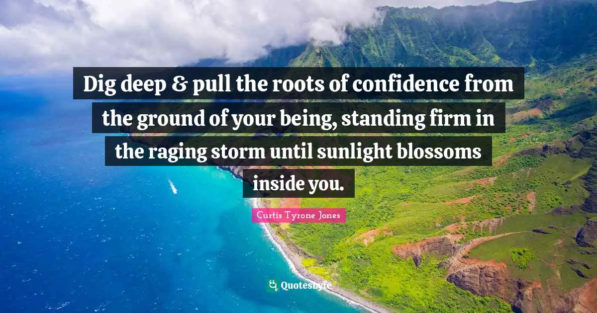 Curtis Tyrone Jones Quotes: Dig deep & pull the roots of confidence from the ground of your being, standing firm in the raging storm until sunlight blossoms inside you.