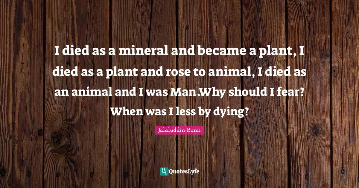 I died as a mineral and became a plant, I died as a plant and rose to animal, I died as an animal and I was Man.Why should I fear? When was I less by dying?
