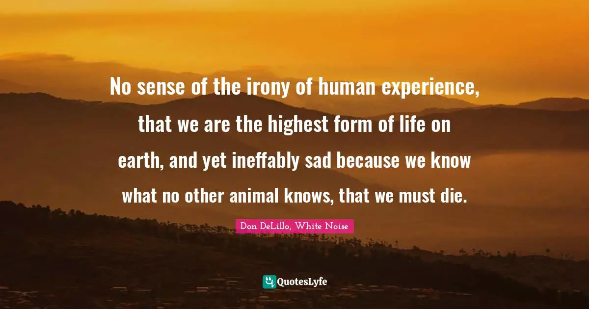 No sense of the irony of human experience, that we are the highest form of life on earth, and yet ineffably sad because we know what no other animal knows, that we must die.